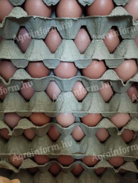 Friss Tojás! házi kapirgálos tyúk tojás postázva is