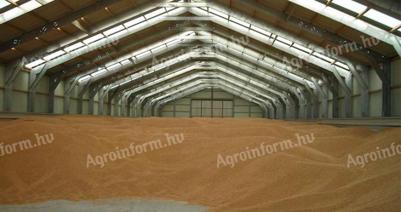 Kukorica eladó 930 tonna