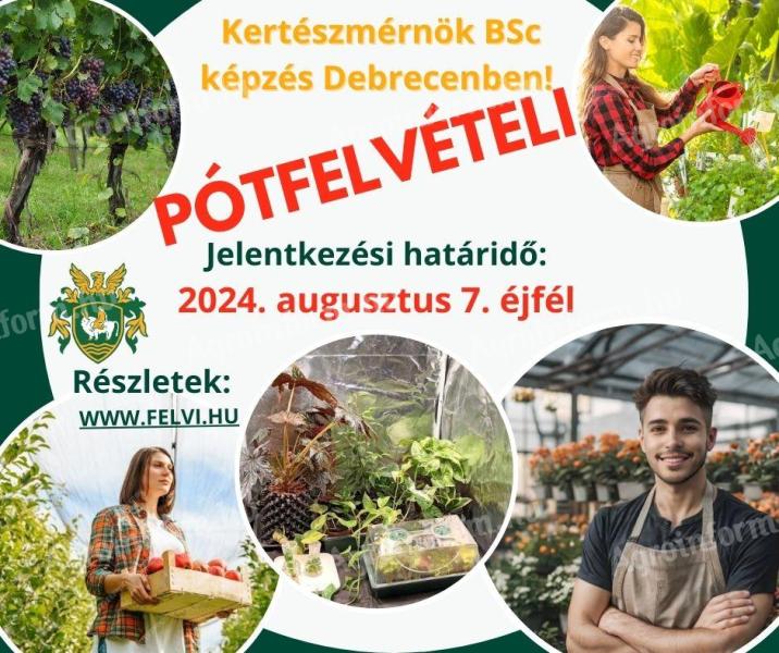 Kertészmérnök pótfelvételi jelentkezés - határidő 2024. augusztus 7