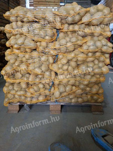 Burgonya eladó / Potato for sale