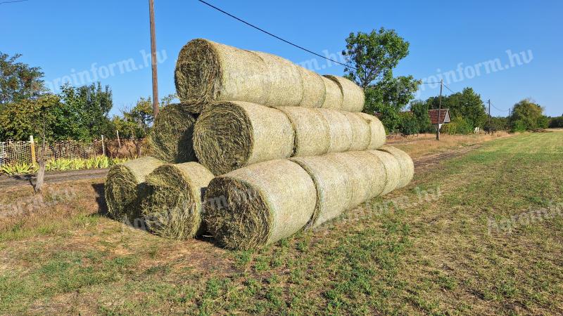 Lucernaszéna eladó