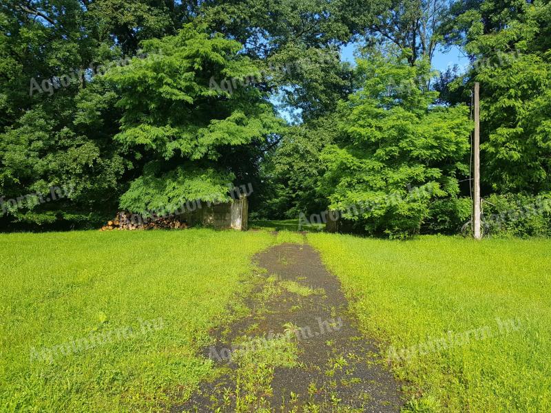 81000 m2 (8 Ha) telek,  elképesztően jó adottságokkal