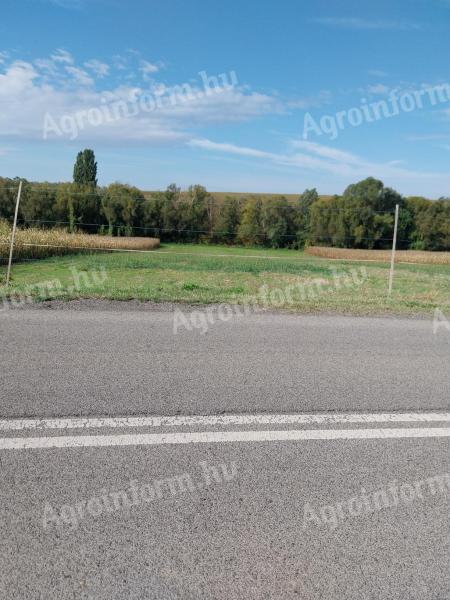 Nagypall határában,  Pécstől 20 km-re szántó (zártkert) eladó