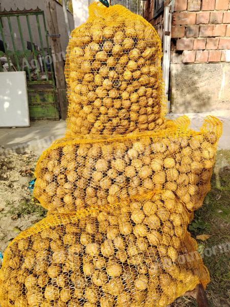 Eladó prémiúm vékony papirhéjas Dió 1300ft kg ba. Gls futáral postázom belfödön