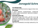 Jonagold Schneica