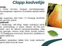 Clapp kedveltje