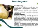 Hardenpont