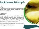 Packham's Triumph