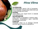 Piros Vilmos