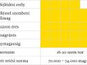 Sumeric kukorica hibrid vetőmag,  G-Seed vetőmagok,  kiváló genetika elérhető áron