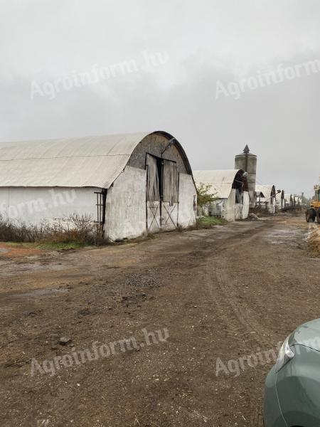 12,8 ha-os közművesített major eladó