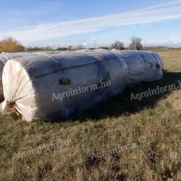 7 db búzaszalma körbála (150 cm) raklapról eladó Kiskunfélegyházán