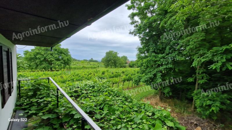 Balaton közelében gazdasági épület Balatonra rálátással és 80%-ban akáccal