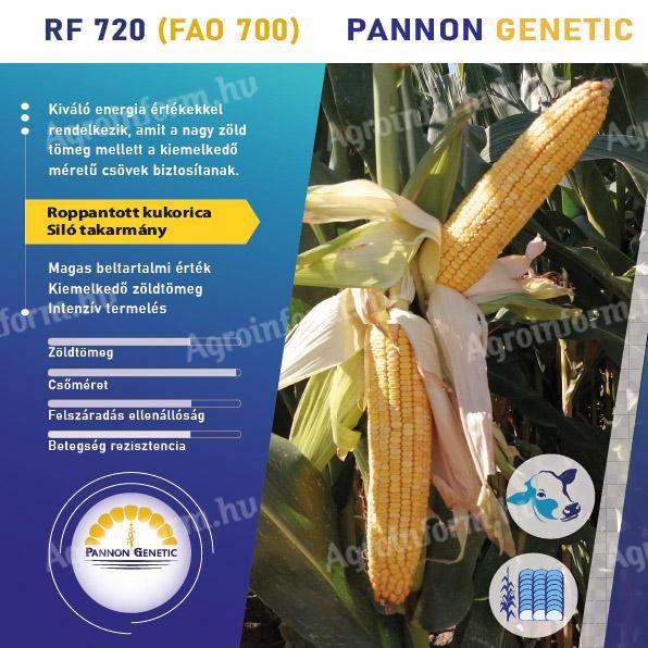 Pannon Genetic - PG 720 (FAO 700) silókukorica vetőmag