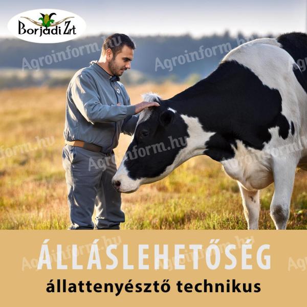 Állattenyésztő technikus