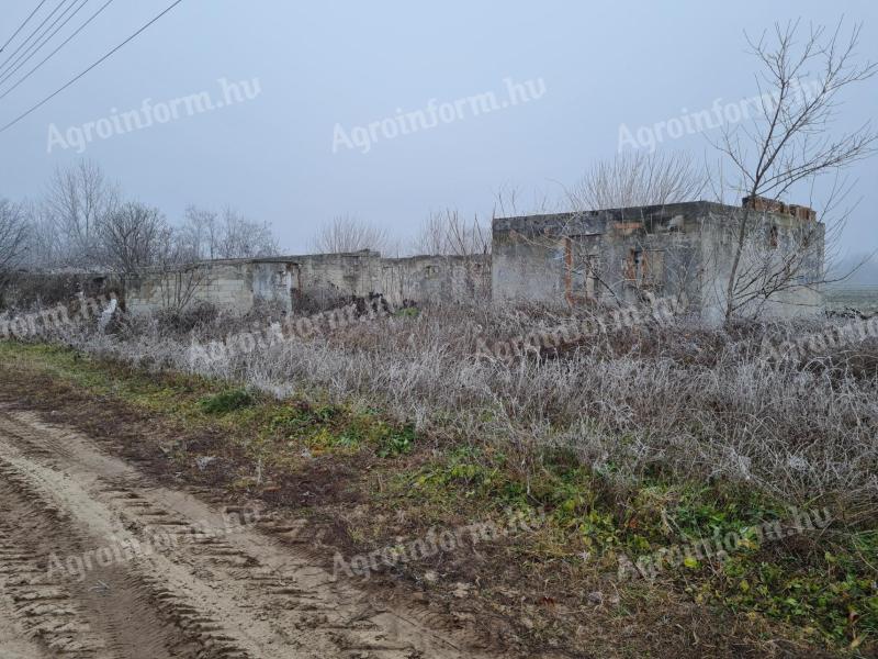 Eladó földterület Tiszajenőn