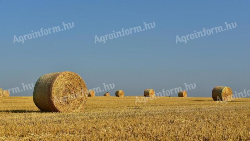 Legelő eladó Orosháza külterületén