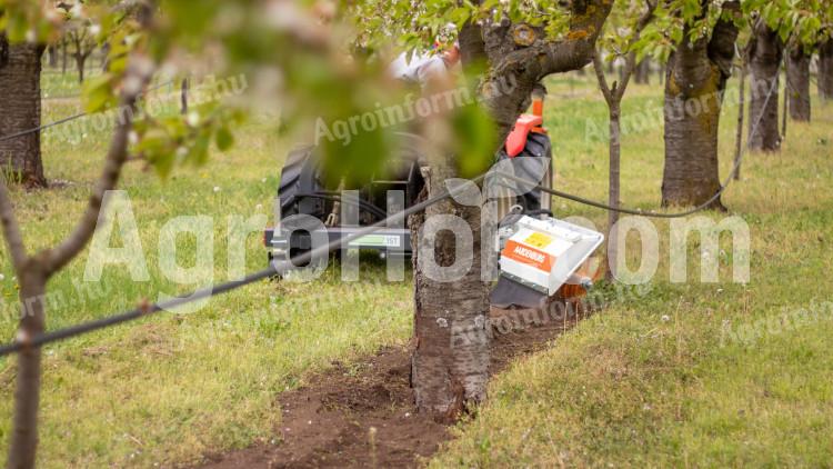 AARDENBURG Törzstisztófej jobb oldali