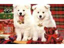 Rinaldo Tál Alátét Karácsonyi Kutyáknak Csúszásgátló