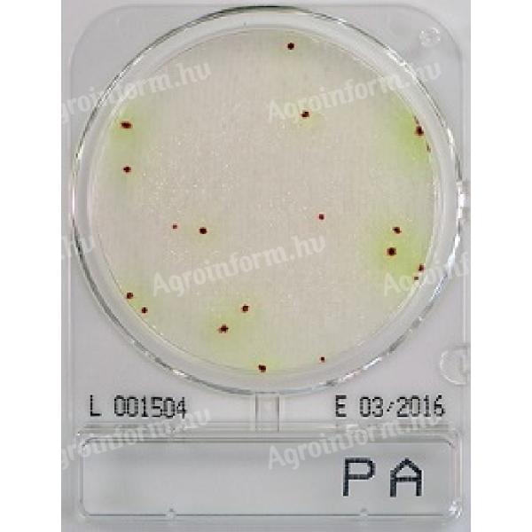 Compact Dry PA - pseudomonas aerugionsa viszgálatához