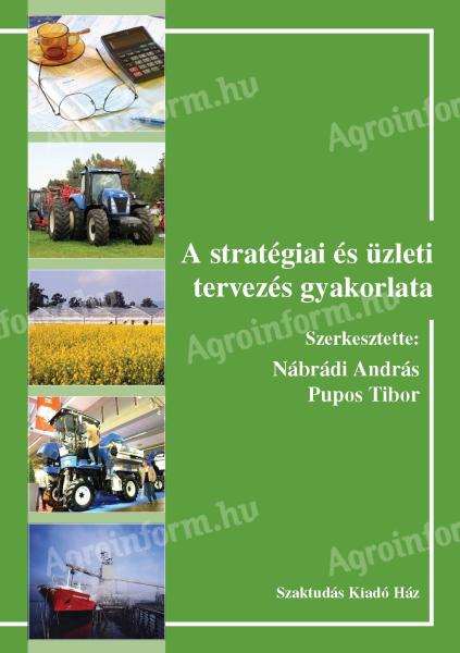 Nábrádi András - Pupos Tibor (szerk.): A stratégiai és üzleti tervezés gyakorlata