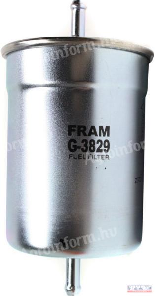 Benzinszűrő G-3829 Fram