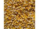 Kukorica (kimérve/kg)