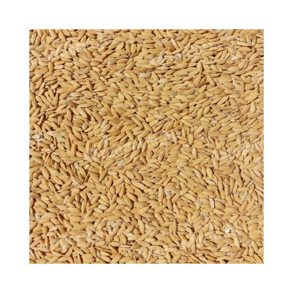 Hántolatlan rizs (kimérve/kg)