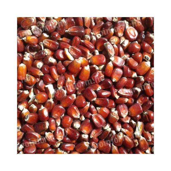 Piros kukorica (kimérve/kg)