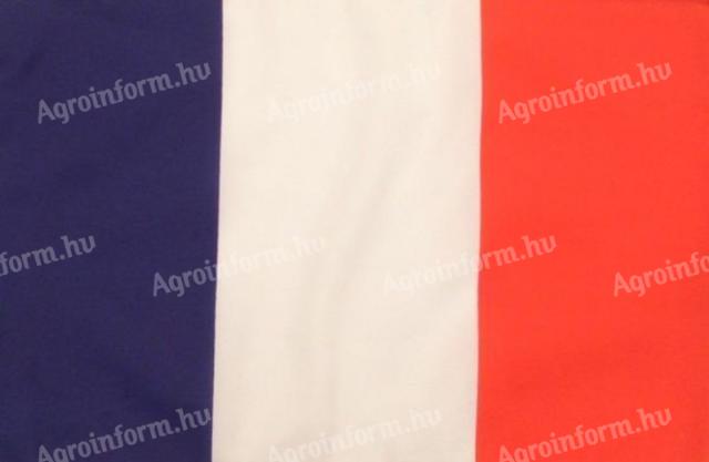 Zászló nagy lobogó Francia (90x150cm)
