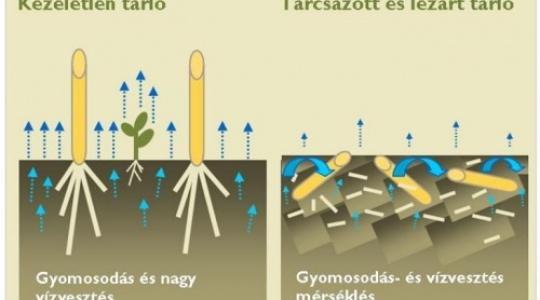 A talaj aktiválásáról tanít országjáró körútján az AGROBIO (+VIDEO)