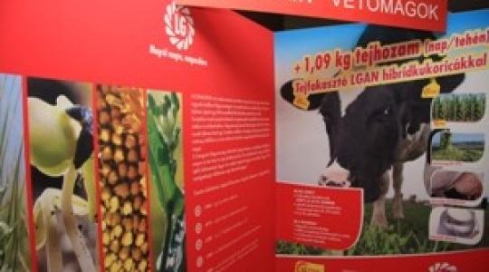 Limagrain Silókonferencia –A Holstein-fríz professzionális takarmányozása gondos hibridválasztással!