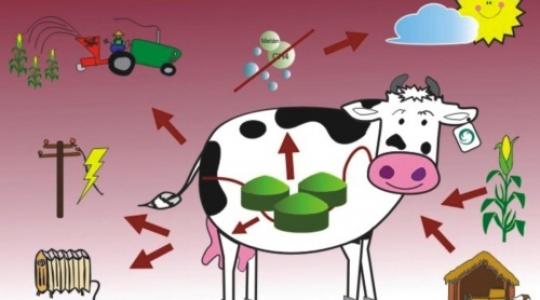 Az állattartás és az üvegházhatású gázok