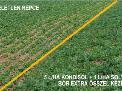 Növénykondicionálás és lombtrágyázás felsőfokon Növénykondicionálás és lombtrágyázás felsőfokon
