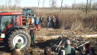 Valkon erdészeti gépbemutatók 2008