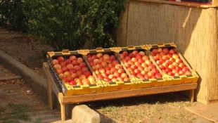 18. Farmer Expo - Debrecen