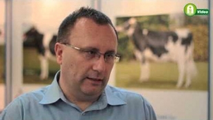 Agroprojekt Kft. - MRY, a XXI. század szarvasmarha fajtája Magyarországon!