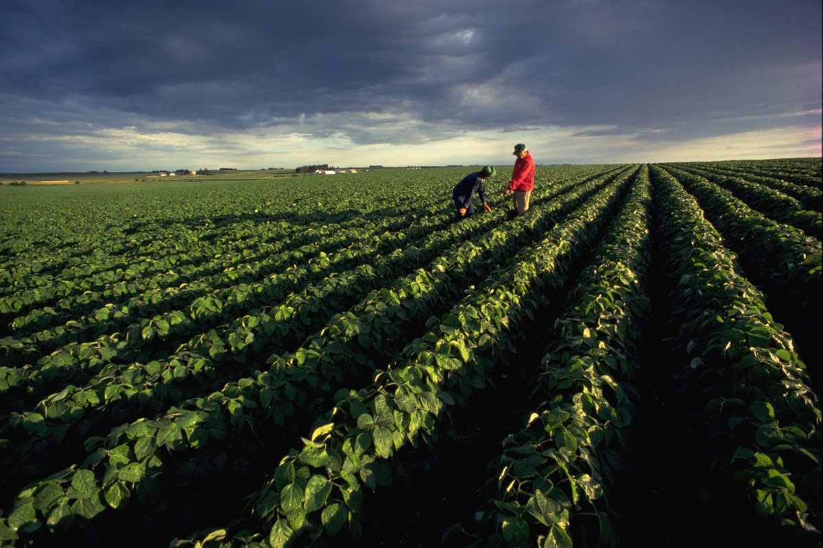 Agriculture products. Dupont сельское хозяйство. Агрокультура морская. Агробизнес Амазония. Биотехнологии Африка.