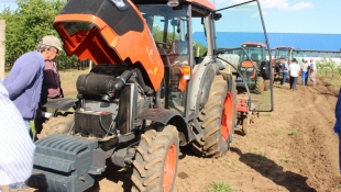 Kicsi a bors, de erős! Kubota gépállatok Hevesben