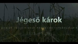Jégkárok Újtelek - és vonzáskörzetében 2015.05.06.