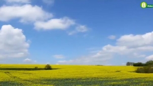 Repce videó! Bemutatkoznak a KWS újdonságok