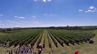 Agrokerti Party 2015 - 17 gépkapcsolat, 1000 lóerő!