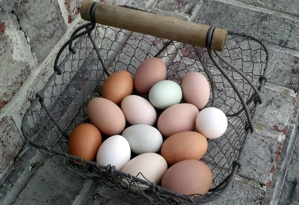 színes tojások kosárban