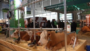 EuroTier Állattenyésztési Kiállítás Galéria