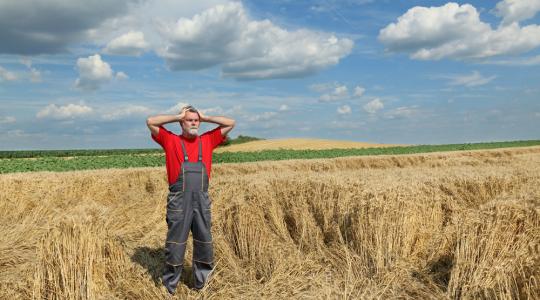 Széchenyi Kártya: segítséget kapnak a károsult gazdák