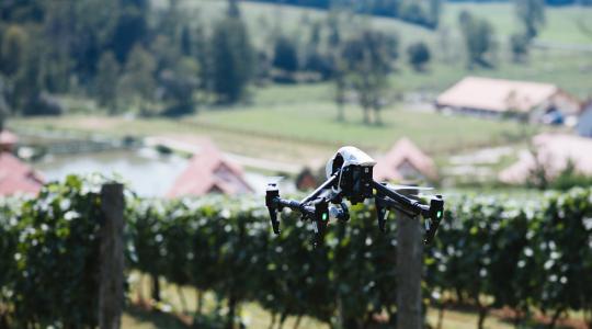 A drónok komoly gazdasági kártól óvhatják meg a mezőgazdaságot 