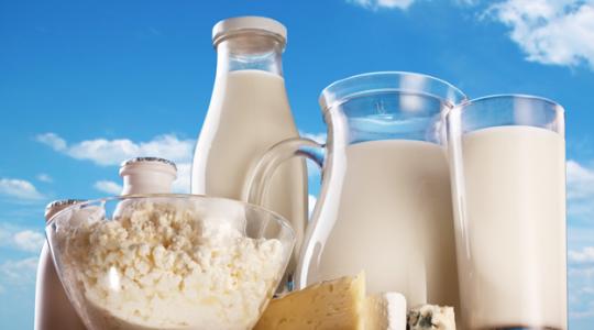 Elég az import tejtermékekből – Tüntetésre készülnek a magyar termelők!