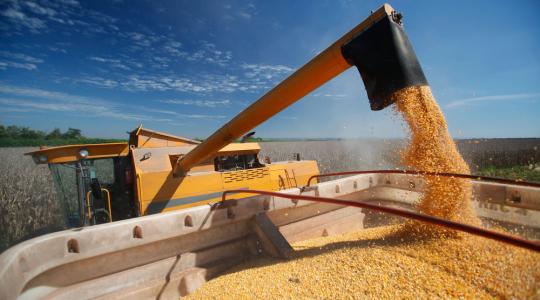 Kína ebben az évben befejezi az állami kukorica-készletezési programot