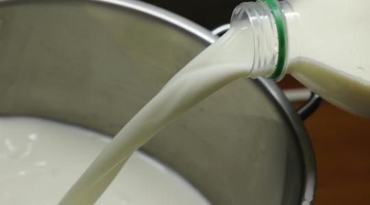Ide ömölhet az EU-s tejtenger 