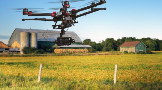 Drónokkal szórnák ki az ültetvényekre a kártevők természetes ellenségeit